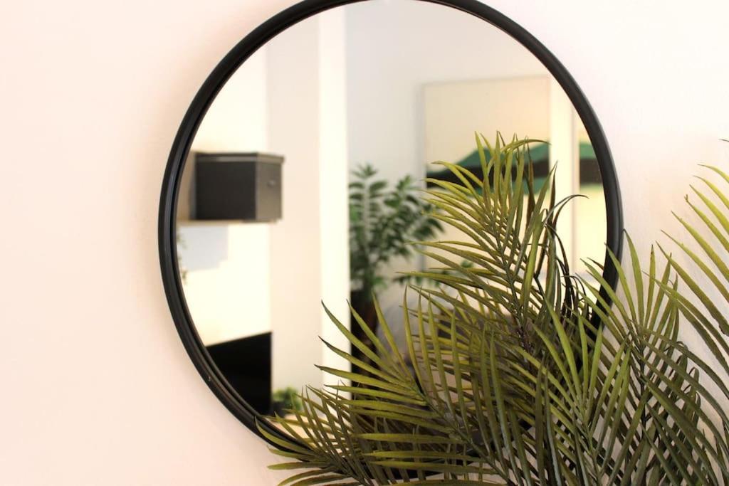 Bonito Y Silencioso Apartamento - Centro Historico Málaga Eksteriør billede